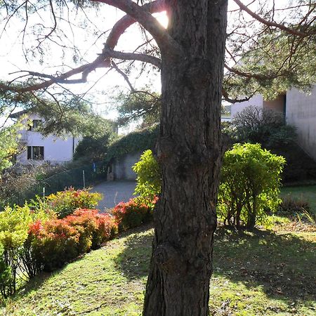 I Tre Faggi Appartement Albese Con Cassano Buitenkant foto